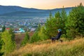 Sunny sunrise over the Ural mountains over the village of Inzer Royalty Free Stock Photo