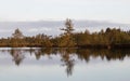 Lake in the swamp