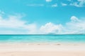 Sunny Tropical beach background