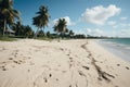 Coastal oasis with palm trees under a clear blue sky Royalty Free Stock Photo