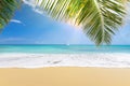 Sunny tropical beach with palm trees Royalty Free Stock Photo