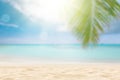 Sunny tropical beach with palm trees Royalty Free Stock Photo