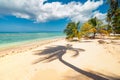 Sunny tropical Caribbean Island Tobago. Coconut palm trees, white sand beach, sunshine and turquise water. Holiday s paradise