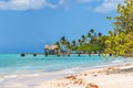 Sunny tropical Caribbean Island Tobago. Coconut palm trees, white sand beach,sunshine and turquoise water. Holiday Royalty Free Stock Photo