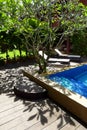 Tropical garden pool side Royalty Free Stock Photo