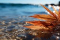 Sunny vacation ambiance, sandy beach, hazy palm leaves, glistening water bokeh