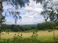 Sunny Valley Landscape Under a Cloudy Blue Sky, Framed by the Branches and Trunks of Foreground Birch and Deciduous Trees. Royalty Free Stock Photo