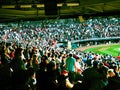 A sunny view of the back stop at Progressive Field in Cleveland, Ohio - USA - OHIO