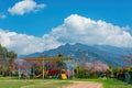 Sunny view of the beautiful cherry blossom in Nantou Country Renai Township Cing Jing elementary school Royalty Free Stock Photo