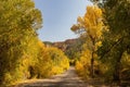 Sunny view of beautiful fall color around Parowan Canyon Royalty Free Stock Photo