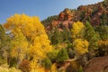 Sunny view of beautiful fall color around Parowan Canyon Royalty Free Stock Photo