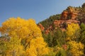 Sunny view of beautiful fall color around Parowan Canyon Royalty Free Stock Photo