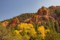 Sunny view of beautiful fall color around Parowan Canyon Royalty Free Stock Photo