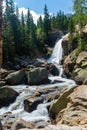 Sunny view of the beautiful landscape around Alberta Falls