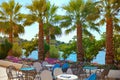 Sunny view of caffe , Coconut palm trees by the Adriatic Sea , Porec location on Istrian Peninsula in western Croatia