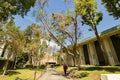 Sunny view of the campus of the University of Southern California Royalty Free Stock Photo