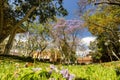 Sunny view of the campus of the University of Southern California Royalty Free Stock Photo