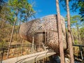 Sunny view of the Childrens Garden Treehouse in Garvan Woodland Gardens