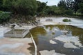 Sunny view of the dried Guang Hua Pond