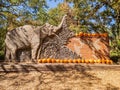 Sunny view of elephant statue and pumpkin