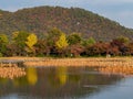 Sunny view of the fall color of Osawa Pond Royalty Free Stock Photo