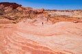 Sunny view of the Firewave of Valley of Fire State Park