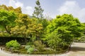 Sunny view of the garden of Tenryu-ji Temple