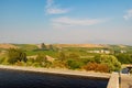 Sunny view of the grapes farm of Napa Valley Royalty Free Stock Photo