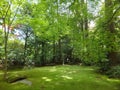 Sunny view of a green scenic near Okochi Sanso Garden Royalty Free Stock Photo