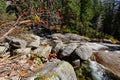 Sunny view of the Horsetail Fall Trail at Lake Tahoe Royalty Free Stock Photo