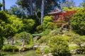 Sunny view of the Japanese Tea Garden in Golden Gate Park Royalty Free Stock Photo