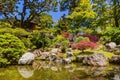 Sunny view of the Japanese Tea Garden in Golden Gate Park Royalty Free Stock Photo