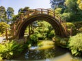 Sunny view of the Japanese Tea Garden in Golden Gate Park Royalty Free Stock Photo