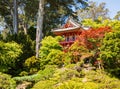 Sunny view of the Japanese Tea Garden in Golden Gate Park Royalty Free Stock Photo