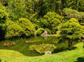 Sunny view of the Japanese Tea Garden in Golden Gate Park Royalty Free Stock Photo