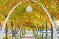 Sunny view of the Klyde Warren Park Royalty Free Stock Photo