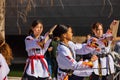 Sunny view of Korean Kung Fu performanec in Lunar New Year Festival