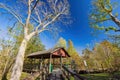 Sunny view of the landsacpe in Bayou Sauvage NWR Ridge Trail Royalty Free Stock Photo