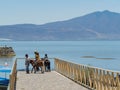 Sunny view of the landscape of Lake Chapala Royalty Free Stock Photo
