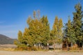 Sunny view of the landscape of Panguitch Lake Resort