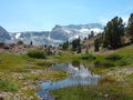 Sunny view of the Lee Vining Creek Royalty Free Stock Photo