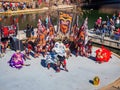 Sunny view of the Lion Dance in Lunar New Year Festival