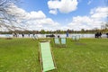 Sunny view of many deck chairs in hyde park