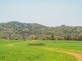 Sunny view of the Osage Lake trail