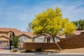 Sunny view of Parkinsonia florida blossom and a beautiful residence building