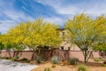 Sunny view of Parkinsonia florida blossom and a beautiful residence building