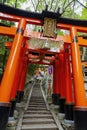 Sunny view of the Senbon Torii of Fushimi Inari-taisha