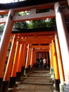 Sunny view of the Senbon Torii of Fushimi Inari-taisha