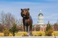 Sunny view of the Tiger Plaza and Dr. Richard H. Jesse Hall of University of Missouri Royalty Free Stock Photo