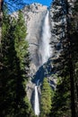 Sunny view of the upper and lower Yosemite Falls of Yosemite National Park Royalty Free Stock Photo